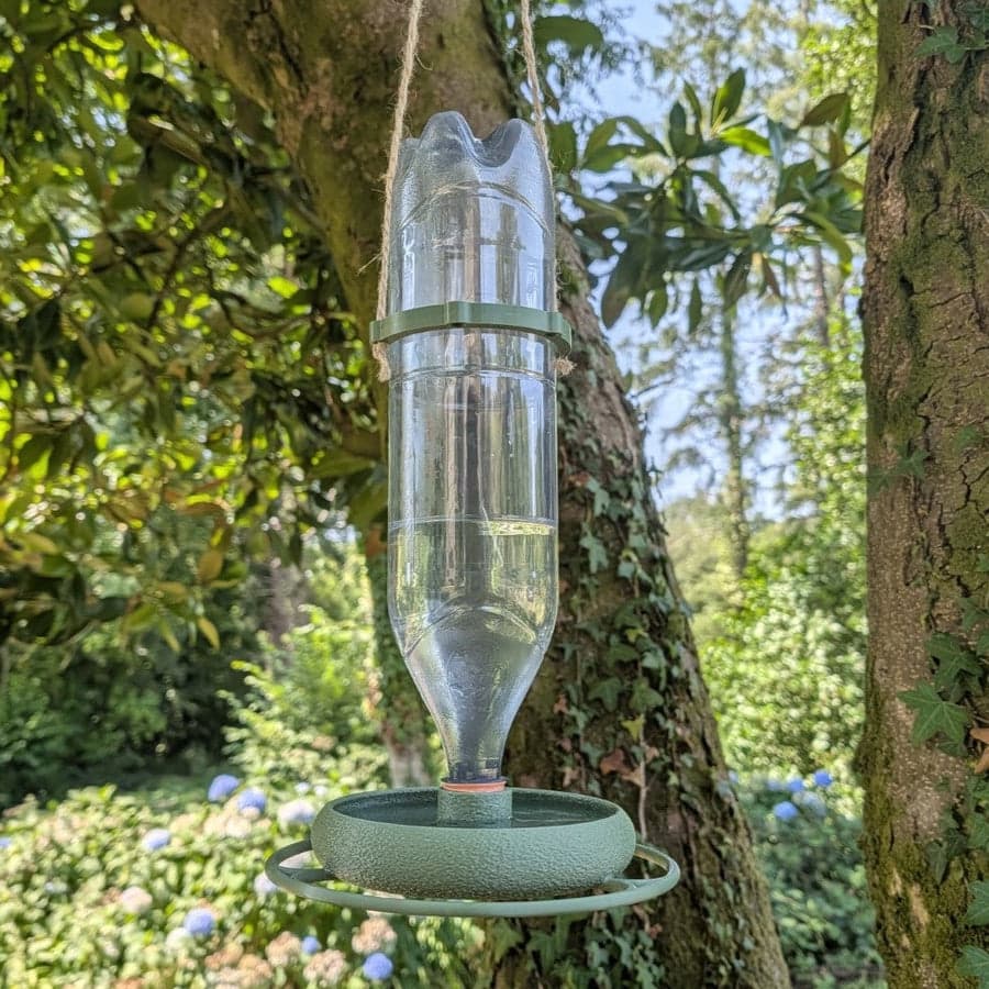Abreuvoir L’Oasis pour bouteille, 20 × 20 × 4 cm — vue 3