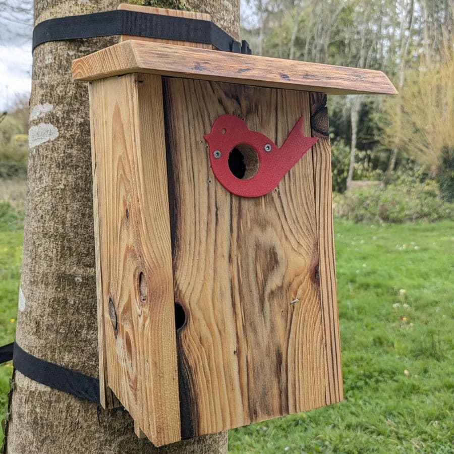 Plaque de protection de trou d’envol L’Oiseau — vue 4