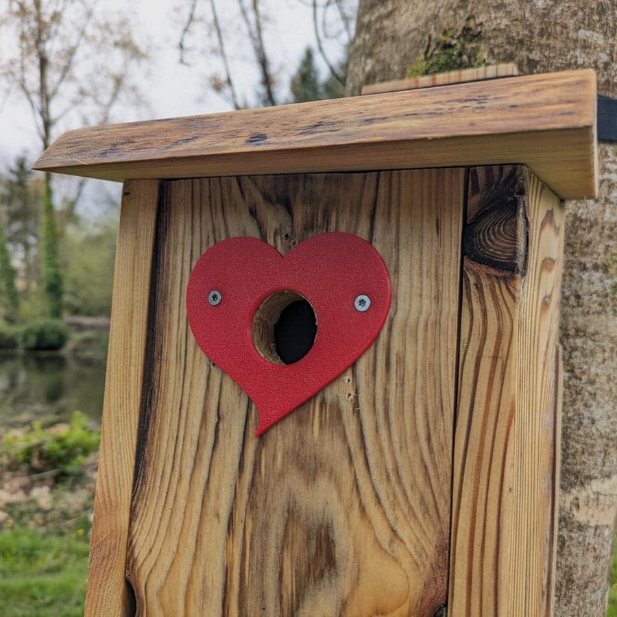 Plaque de protection de trou d’envol Le Cœur — vue principale