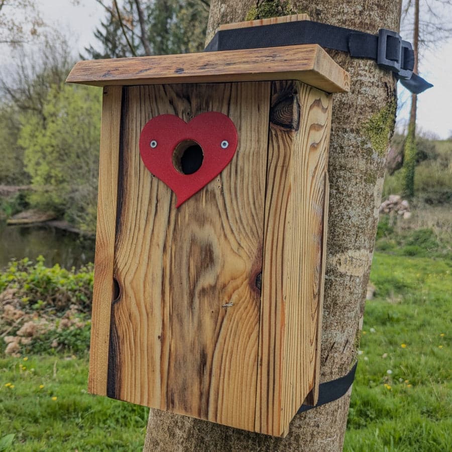 Plaque de protection de trou d’envol Le Cœur — vue 2