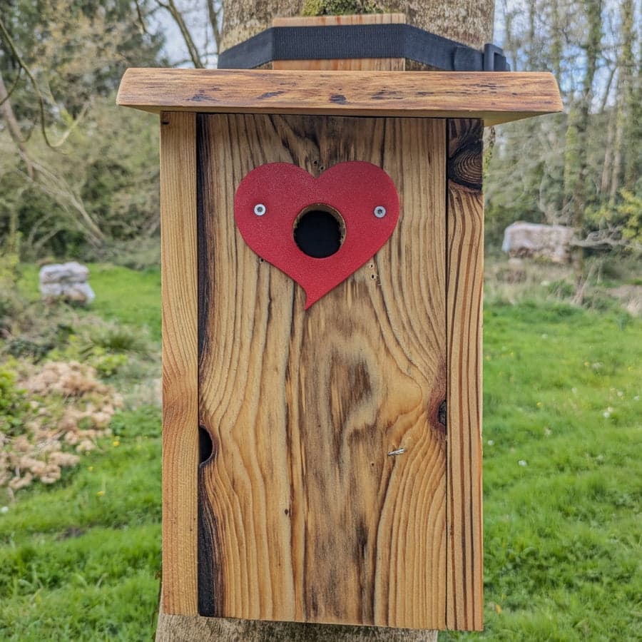 Plaque de protection de trou d’envol Le Cœur — vue 3