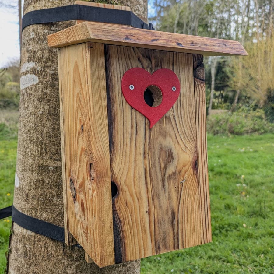 Plaque de protection de trou d’envol Le Cœur — vue 4