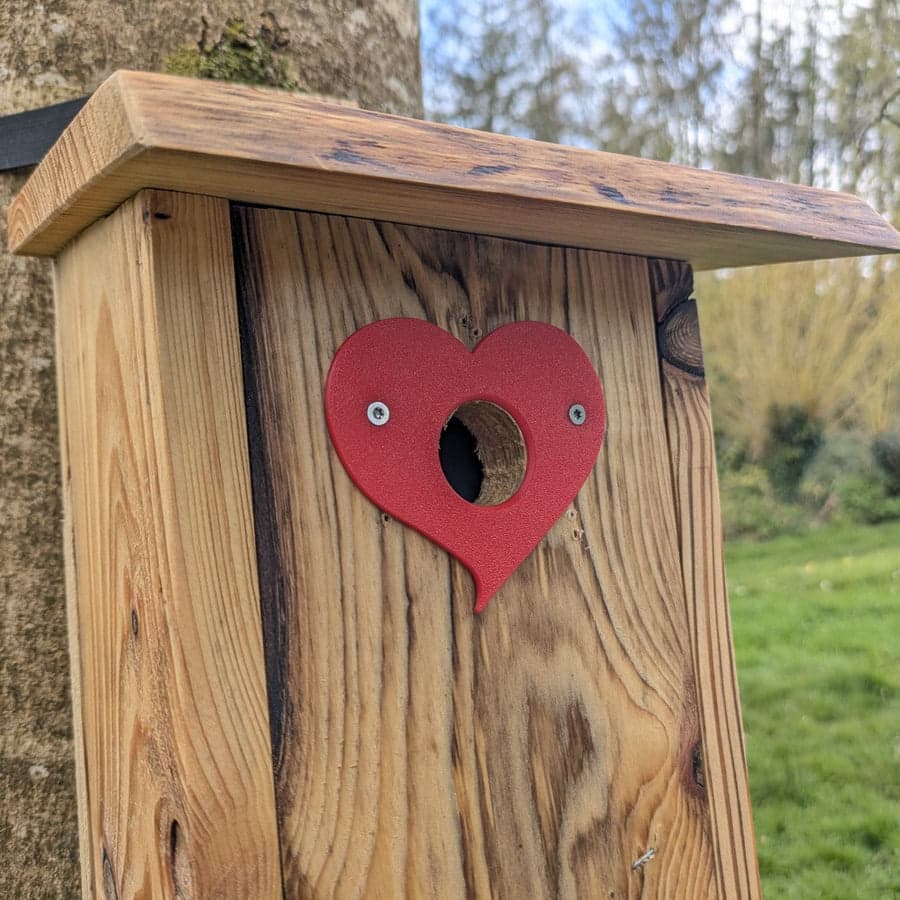 Plaque de protection de trou d’envol Le Cœur — vue 5