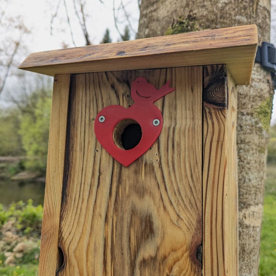 Plaque de protection de trou d’envol Le Cœur-Oiseau — vue principale