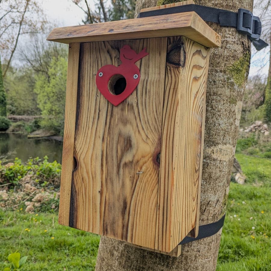 Plaque de protection de trou d’envol Le Cœur-Oiseau — vue 2