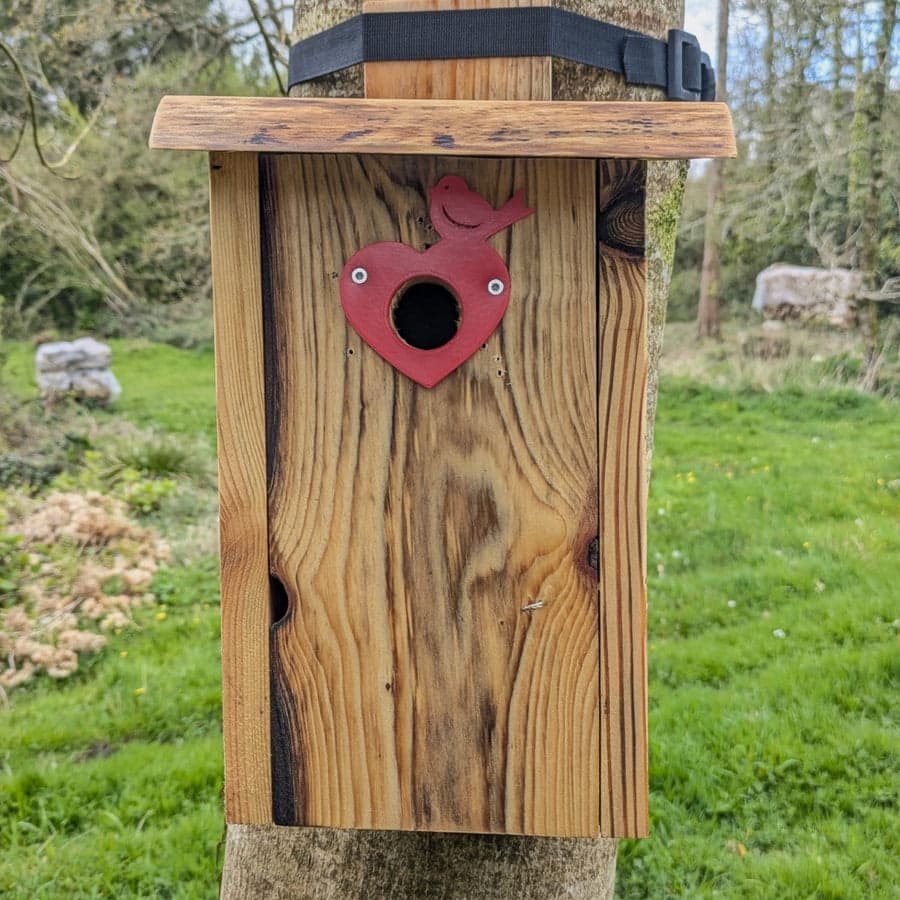 Plaque de protection de trou d’envol Le Cœur-Oiseau — vue 3