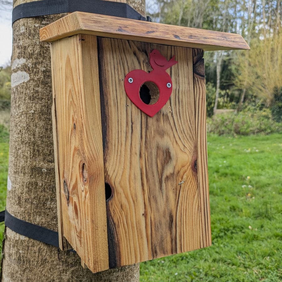 Plaque de protection de trou d’envol Le Cœur-Oiseau — vue 4