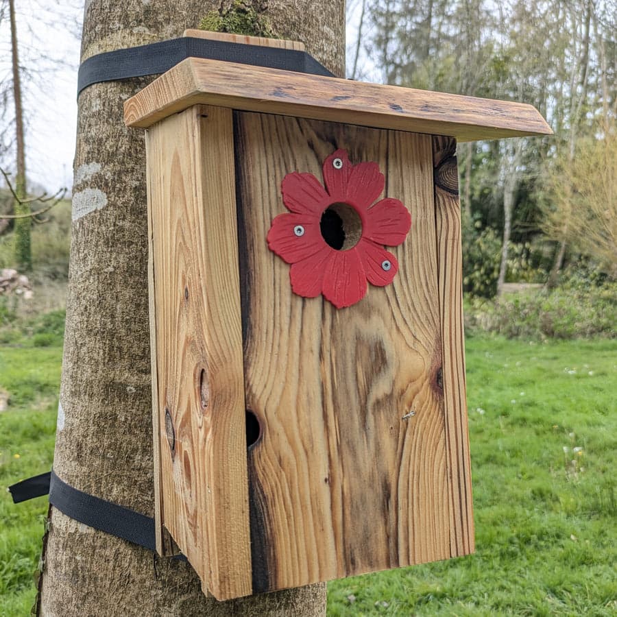 Plaque de protection de trou d’envol Le Cosmos — vue 4