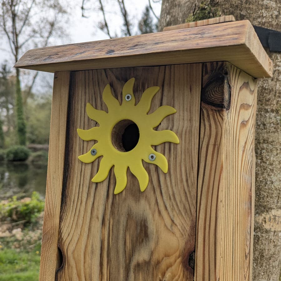 Plaque de protection de trou d’envol Le Soleil — vue principale